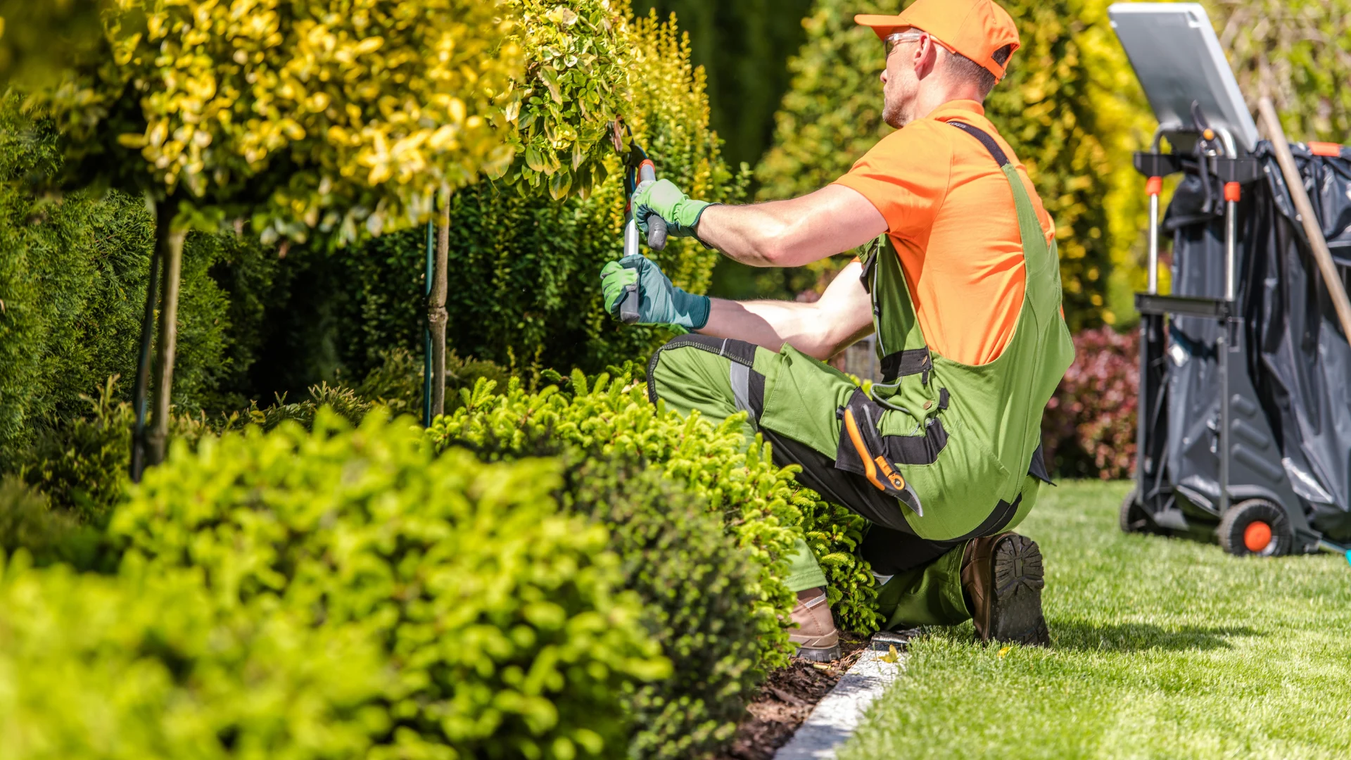Landscaping Services (2)